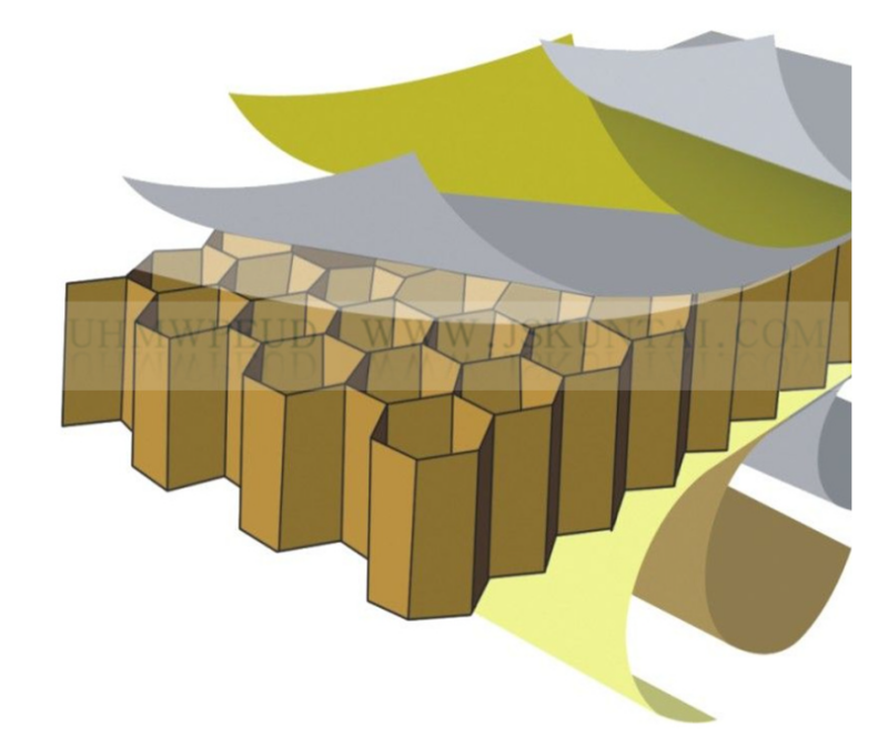 double belt application1 double belt application1